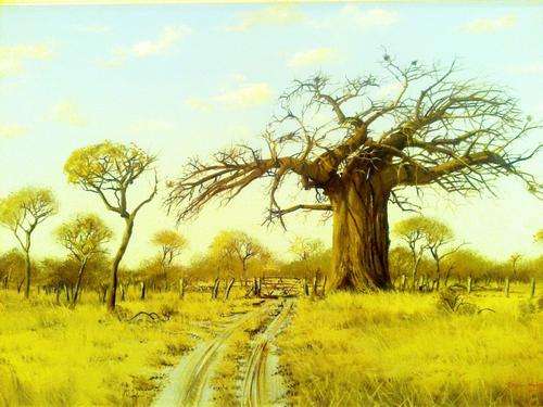 Errol Norbury - Baoba tree - A piece of sheer magic! - Large stunner!